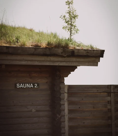 Isosauna (2)